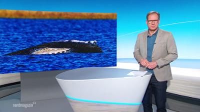 Nordmagazin - Land und Leute