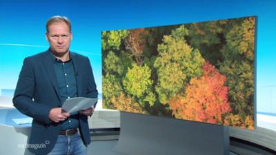 Nordmagazin - Land und Leute