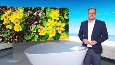 Nordmagazin - Land und Leute