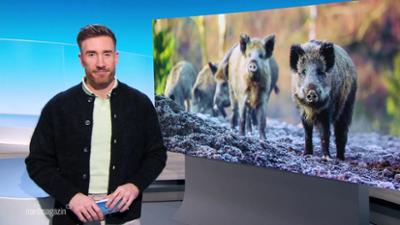 Nordmagazin - Land und Leute