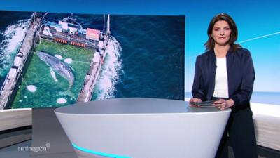 Nordmagazin - Land und Leute
