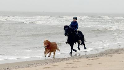 Nordseereport: Winterzeit auf Vlieland - Stürme, Strände, Weihnachtsglitzer