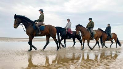 Nordseereport - Frühling auf Föhr: Frühling auf Föhr