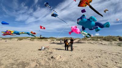 Nordseereport - Urlaubsinsel Rømø: Urlaubsinsel Rømø - Camper, Hotdog, Autostrand
