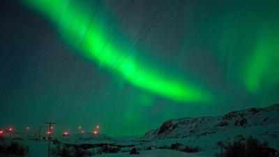 Nordseereport Spezial - Arktisches Norwegen: Arktisches Norwegen - Winter, Wale, Weihnachtszauber