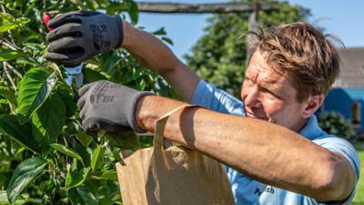 Rasch durch den Garten: Gartenarbeiten im Hochsommer