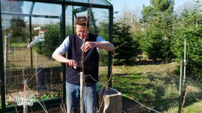 Rasch durch den Garten: Jetzt wird´s blumig