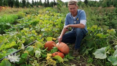 Rasch durch den Garten: Der goldene Oktober kommt