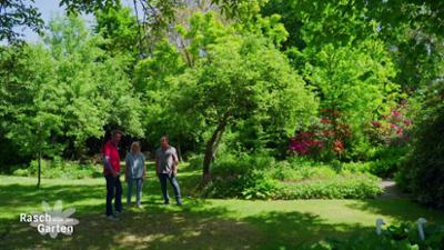 Rasch durch den Garten: Frischer Wind im Garten