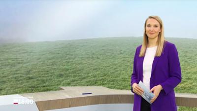 Schleswig-Holstein 18:00