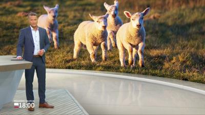 Schleswig-Holstein 18:00