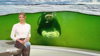 Schleswig-Holstein 18:00