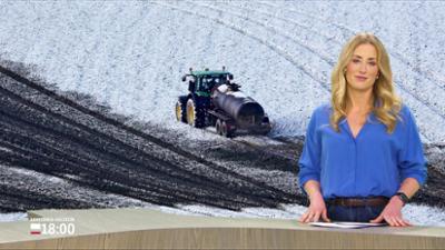 Schleswig-Holstein 18:00