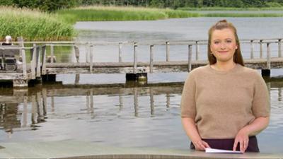 Schleswig-Holstein 18:00