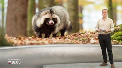 Schleswig-Holstein 18:00