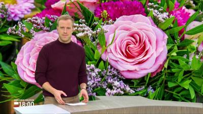 Schleswig-Holstein 18:00