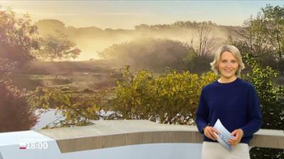 Schleswig-Holstein 18:00