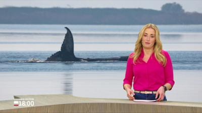 Schleswig-Holstein 18:00