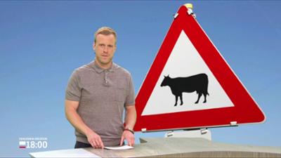 Schleswig-Holstein 18:00