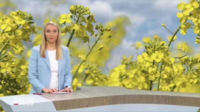 Schleswig-Holstein 18:00