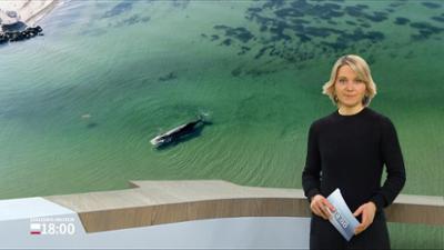 Schleswig-Holstein 18:00