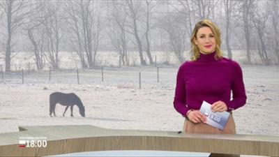 Schleswig-Holstein 18:00