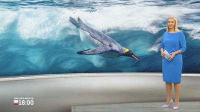 Schleswig-Holstein 18:00