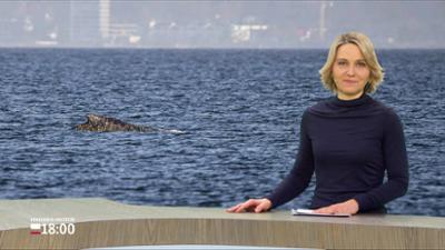 Schleswig-Holstein 18:00