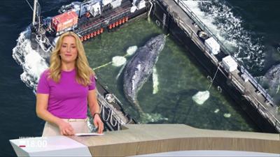 Schleswig-Holstein 18:00