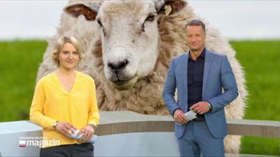 Schleswig-Holstein Magazin