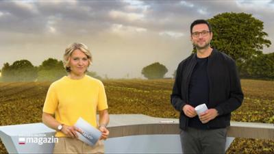 Schleswig-Holstein Magazin