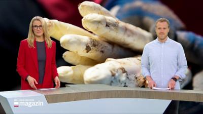 Schleswig-Holstein Magazin