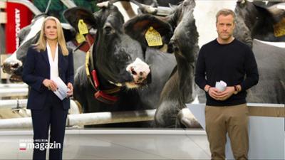 Schleswig-Holstein Magazin