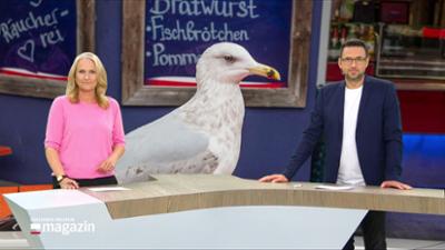Schleswig-Holstein Magazin