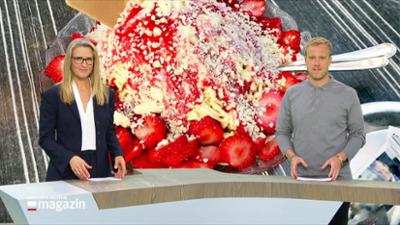 Schleswig-Holstein Magazin