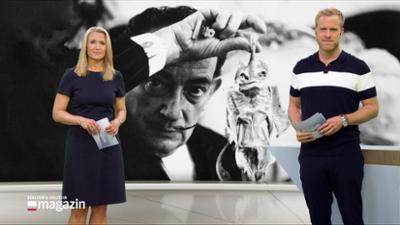Schleswig-Holstein Magazin