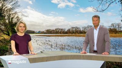 Schleswig-Holstein Magazin