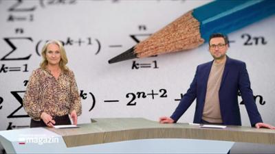 Schleswig-Holstein Magazin