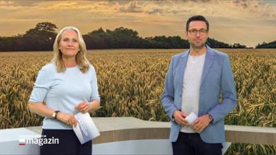 Schleswig-Holstein Magazin
