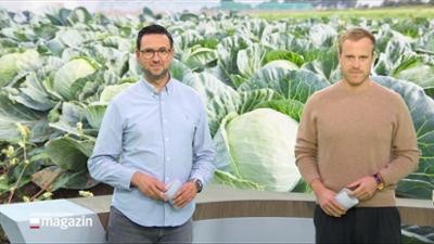Schleswig-Holstein Magazin