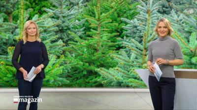 Schleswig-Holstein Magazin