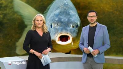 Schleswig-Holstein Magazin