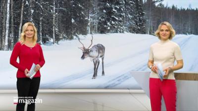 Schleswig-Holstein Magazin