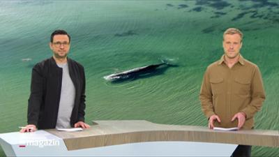 Schleswig-Holstein Magazin