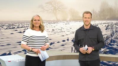 Schleswig-Holstein Magazin