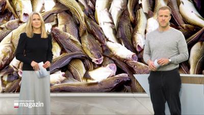 Schleswig-Holstein Magazin