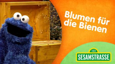 Sesamstraße: DGS.Blumen für die Bienen