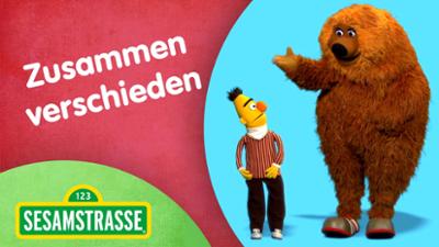 Sesamstraße: Zusammen verschieden