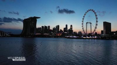 Singapur - Zukunftsstadt in den Tropen