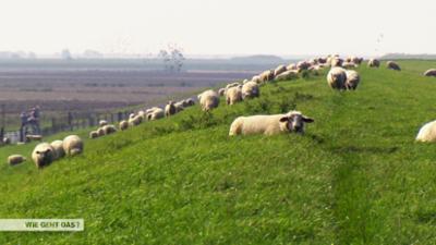 Wie geht das?: Vorsicht! Sturmflut!